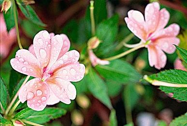 PSN调整了PS5游玩时间追踪器 但问题依然存在